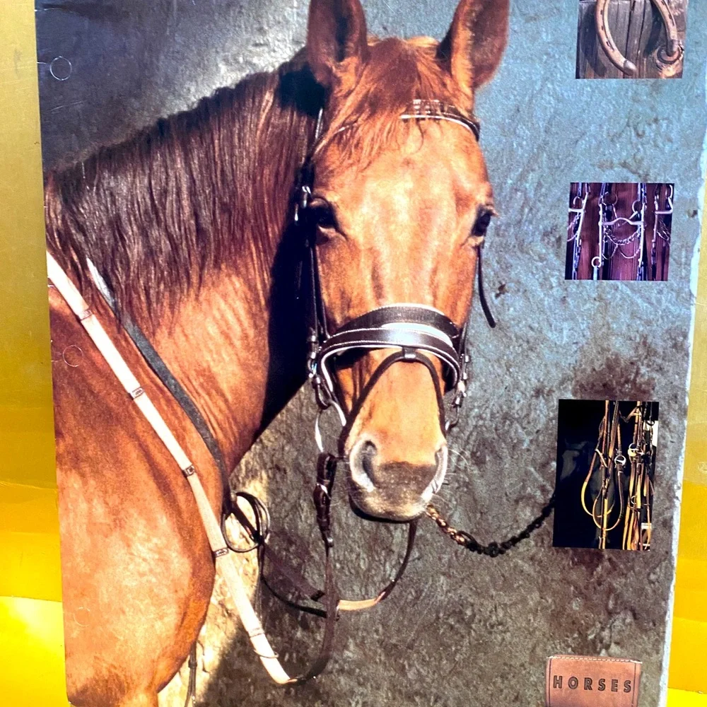 HORSES VINTAGE 90’s PORTFOLIO 3 RING BINDER FOLDERS BUNDLE OF 3 GREAT FOR SCHOOL